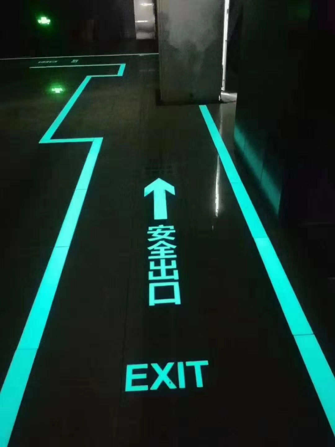 Glow in The Dark Fire-fighting Sign 